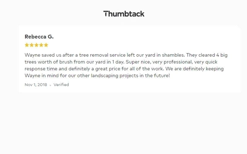 A screenshot of the best customer review for thudback, a top-notch junk removal service.