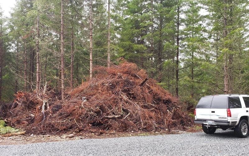 A truck specializing in trash removal is parked in front of a pile of trees.