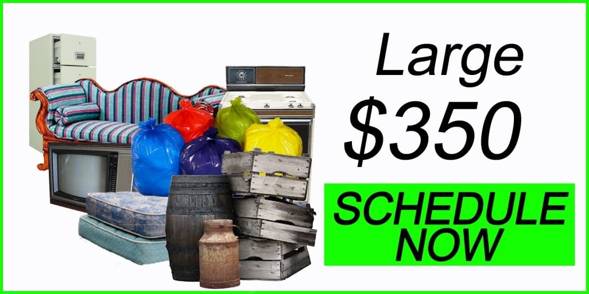Schedule now for our large junk removal service at just $350.